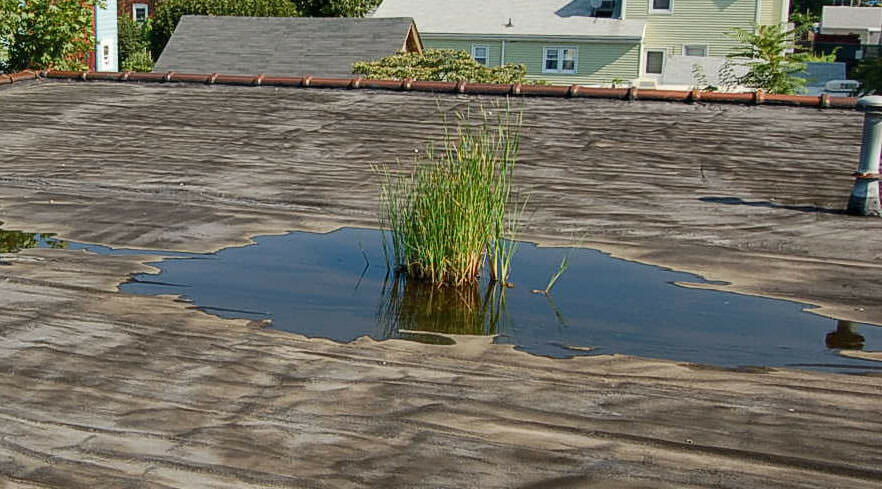 Commercial building roofing