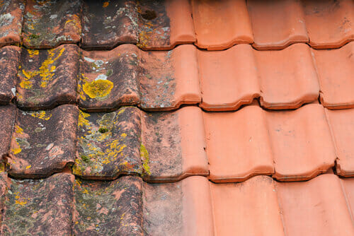 Roofing project by Alamo Roofing