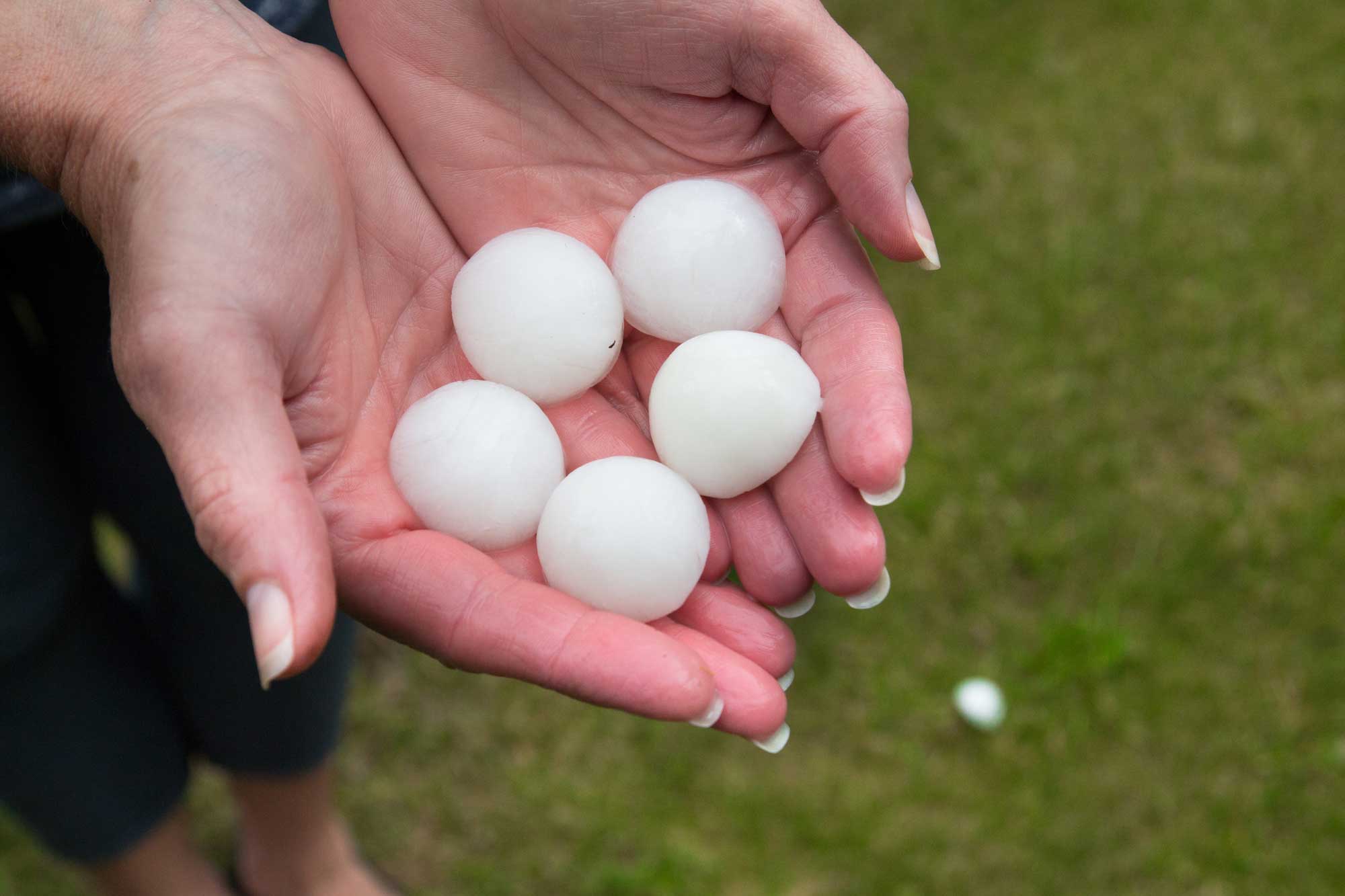 A person holding five large hailstones in their hands with grass visible in the background.