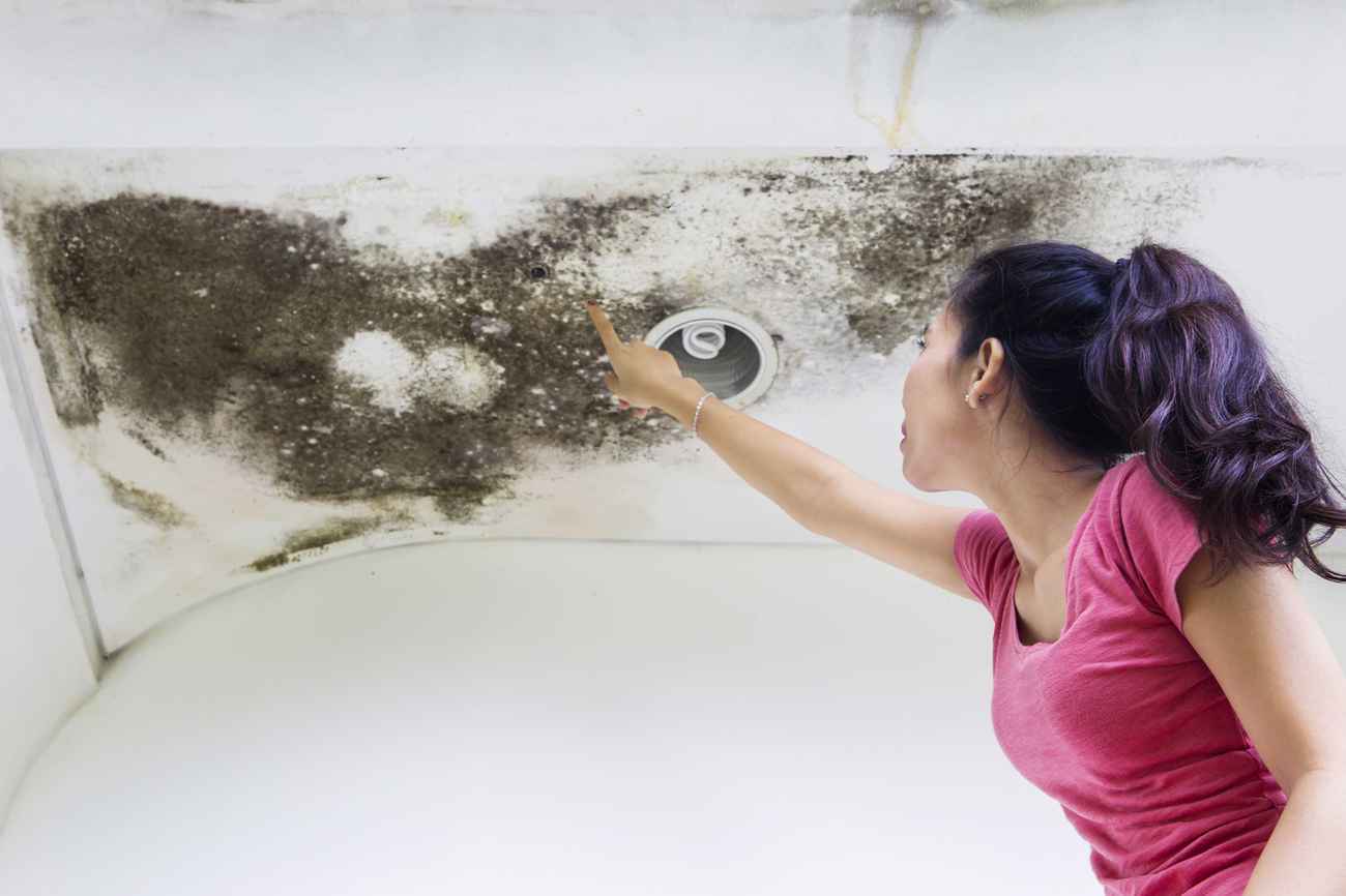 A woman in a pink shirt points at a large patch of black mold growing on a white ceiling near a recessed light.