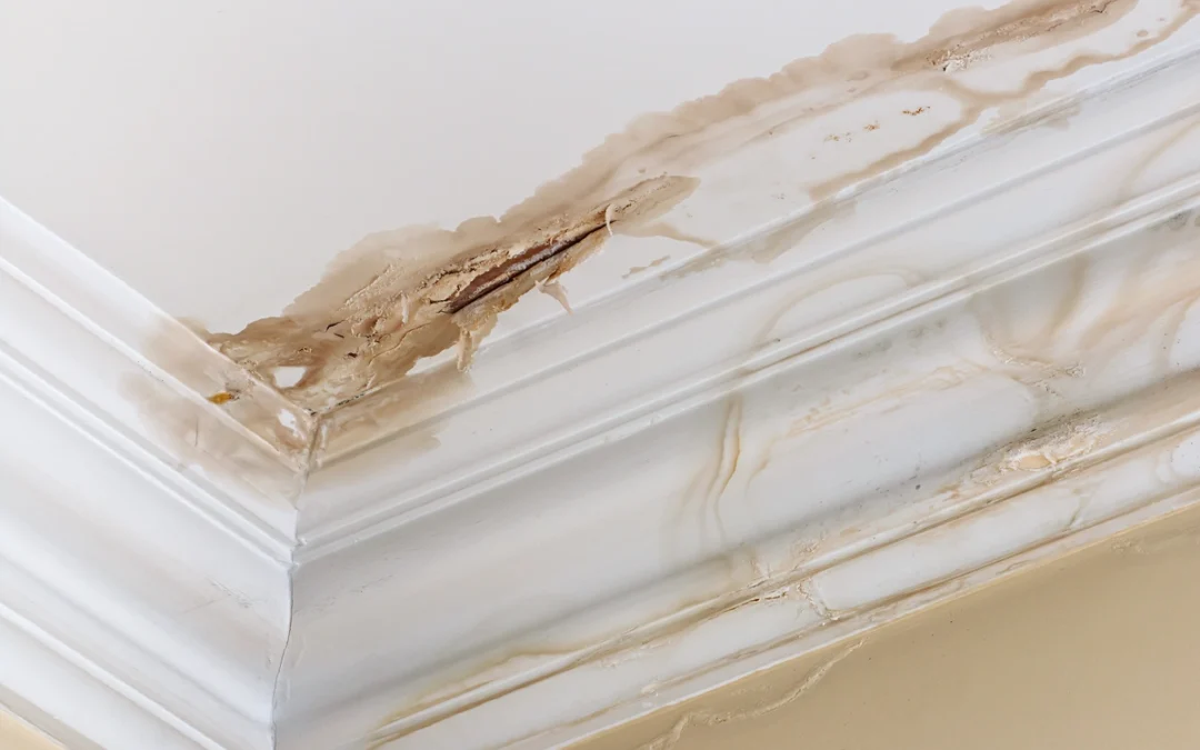 How to Make a Successful Water Leak Insurance Claim (2024)