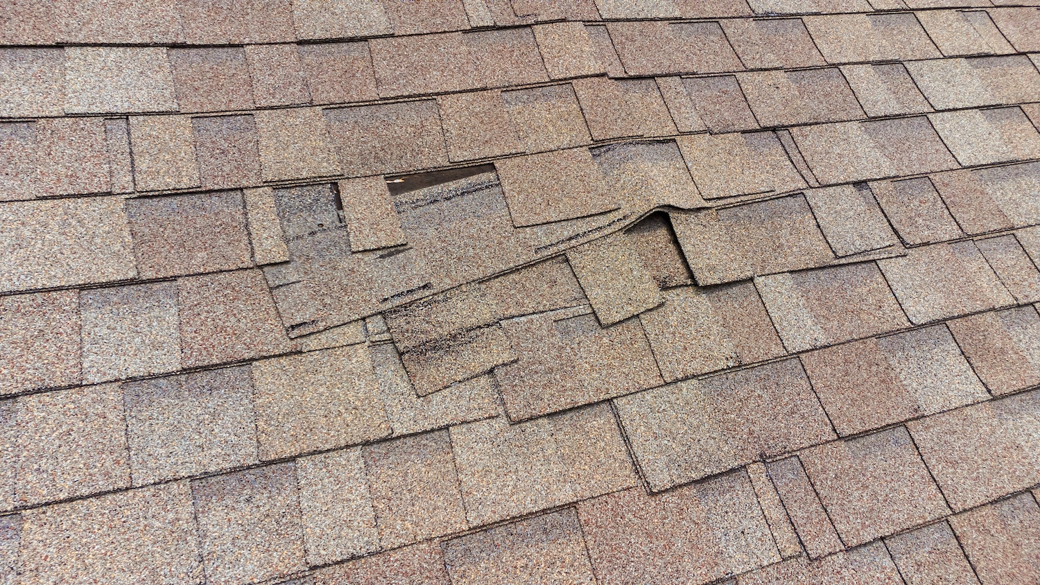 Several shingles on a brown asphalt shingle roof are lifted and misaligned, indicating damage that may need repair. Several shingles on a brown asphalt shingle roof are lifted and misaligned, indicating damage that may need repair.