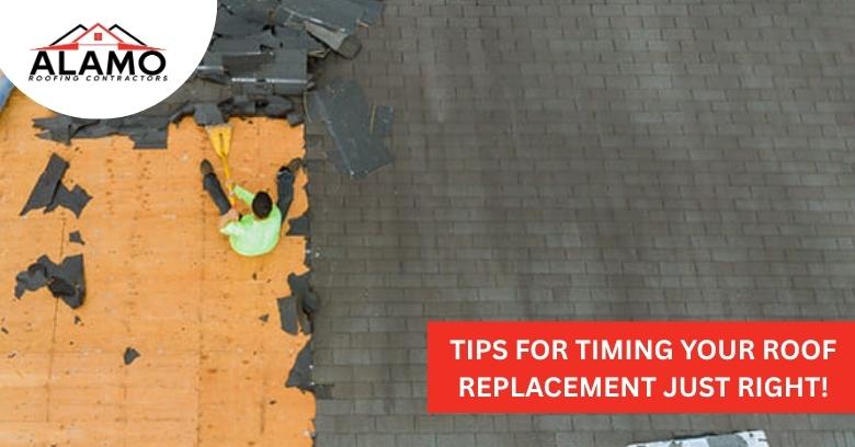 A worker removes old shingles from a roof, revealing the orange underlayment. Text reads, Tips for timing your roof replacement just right! Alamo Roofing Contractors logo in corner.